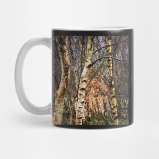 Birch trees Mug